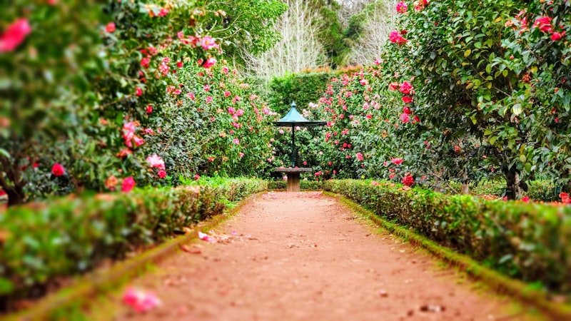Pottery and garden supplies